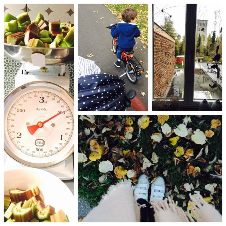 23227074_10155906024288118_924997205_n