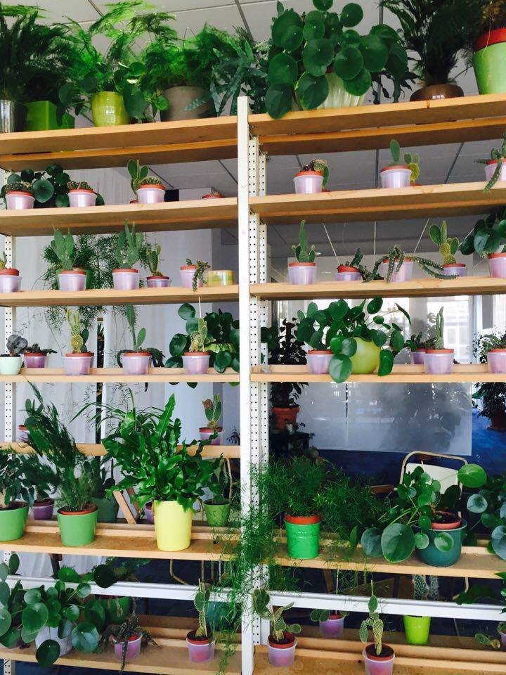 23972816_10155965596363118_959850062_n