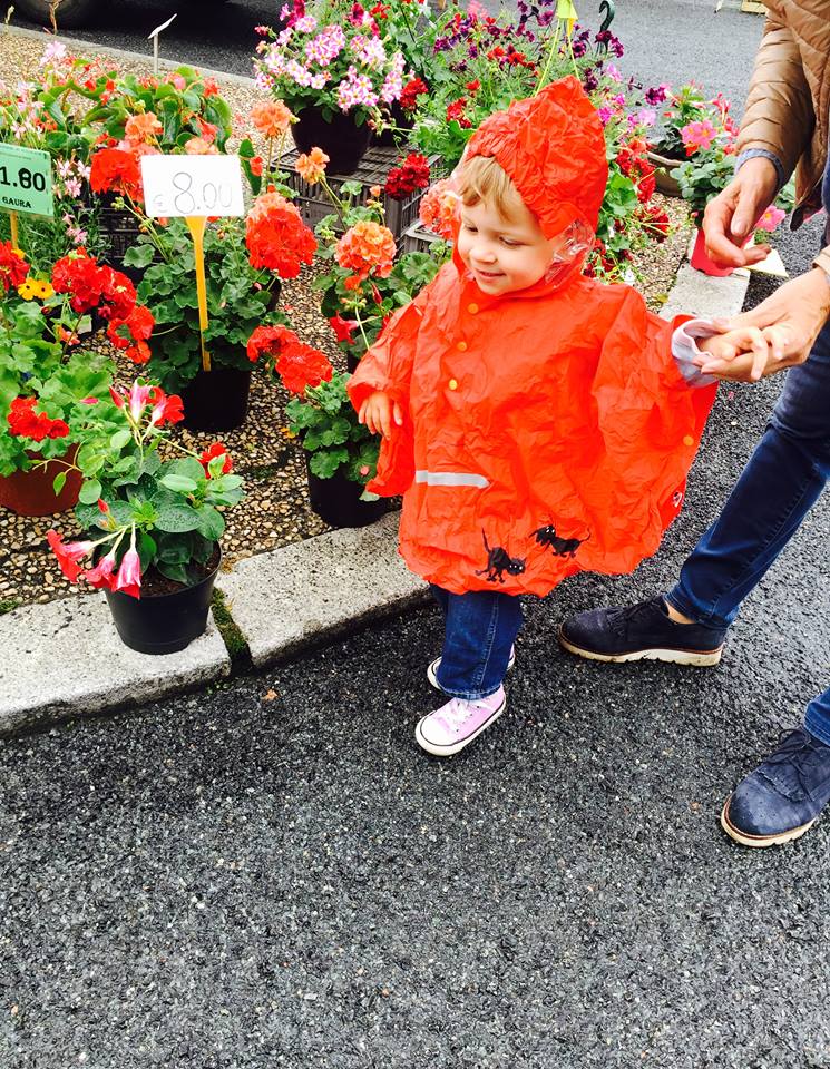 35531880_10156524132478118_19592992264290304_n