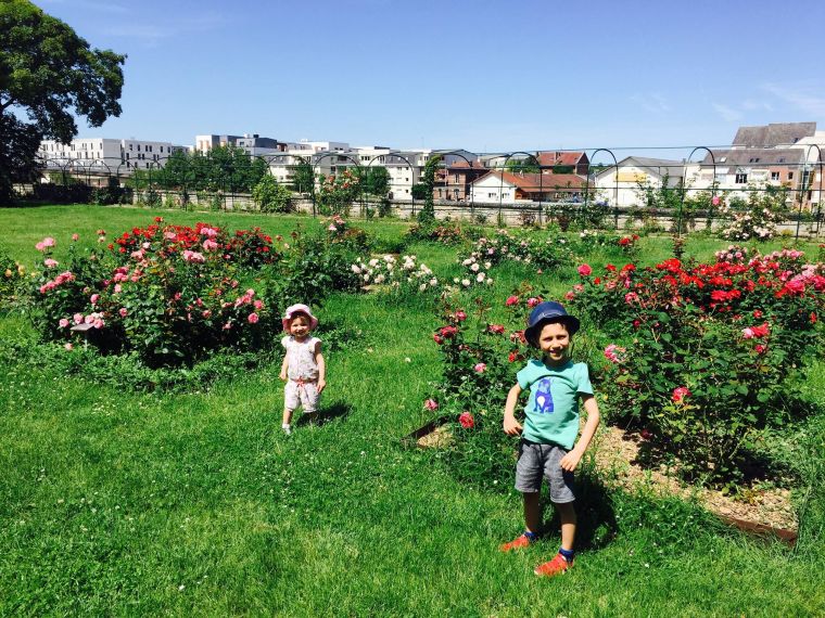 35687027_10156526374418118_8073445430123298816_n