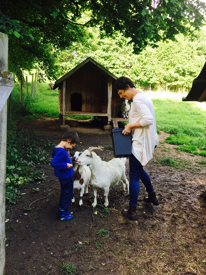 35744102_10156524071803118_3043583631772614656_n